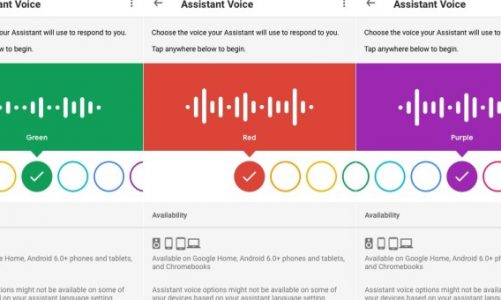 Google Asistan’ın Sesini Değiştirmek Artık Daha Kolay